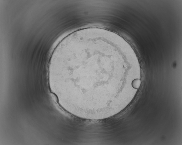 X0000115850808200912242036