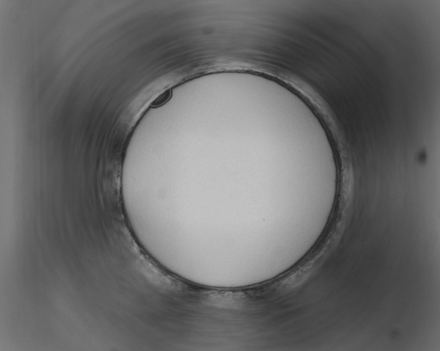 X0000115850809200912242036