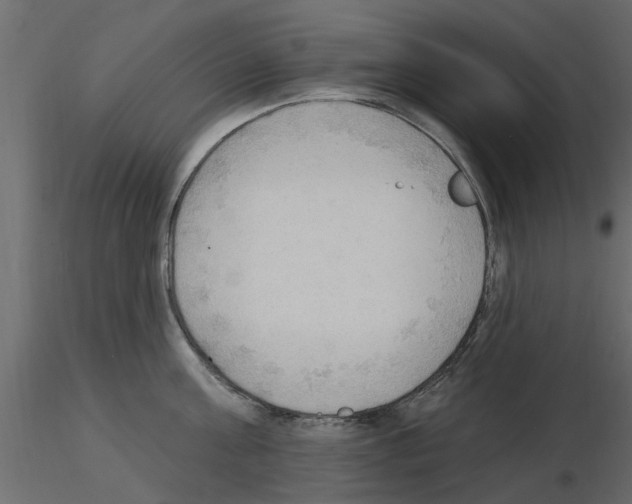 X0000115850811200912242036