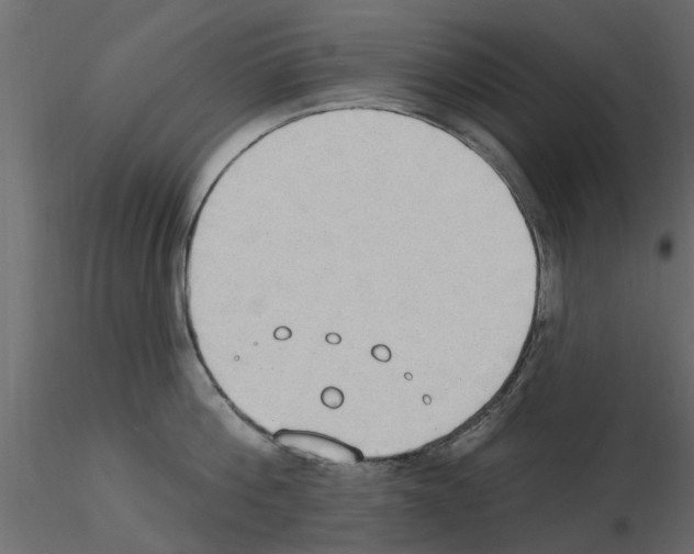 X0000115850812200912242036