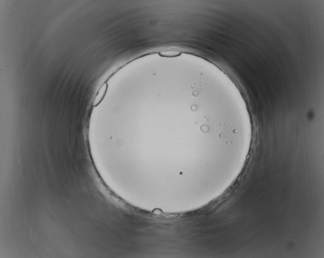 X0000115850813200912242036