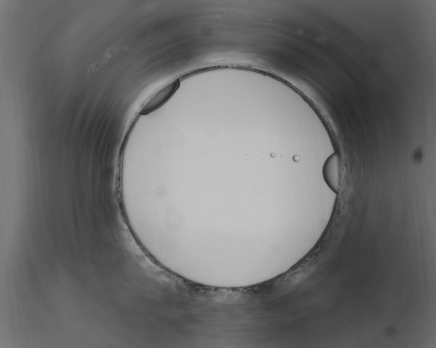 X0000115850815200912242036