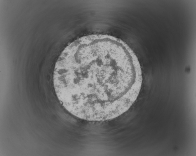 X0000115850817200912242036