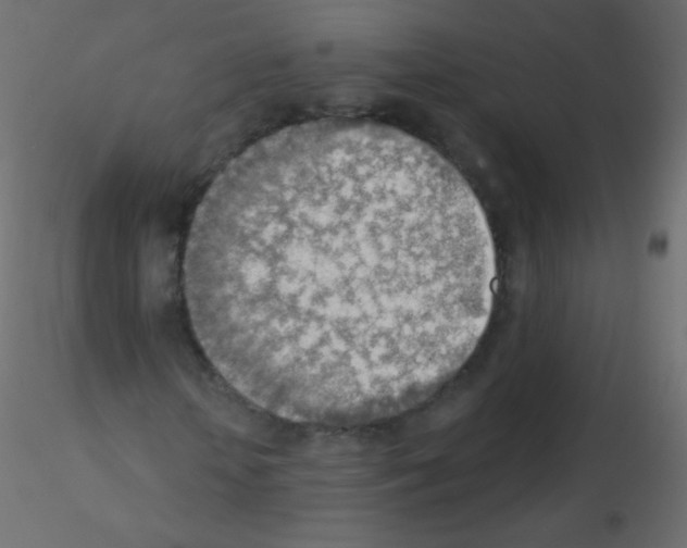 X0000115850818200912242036