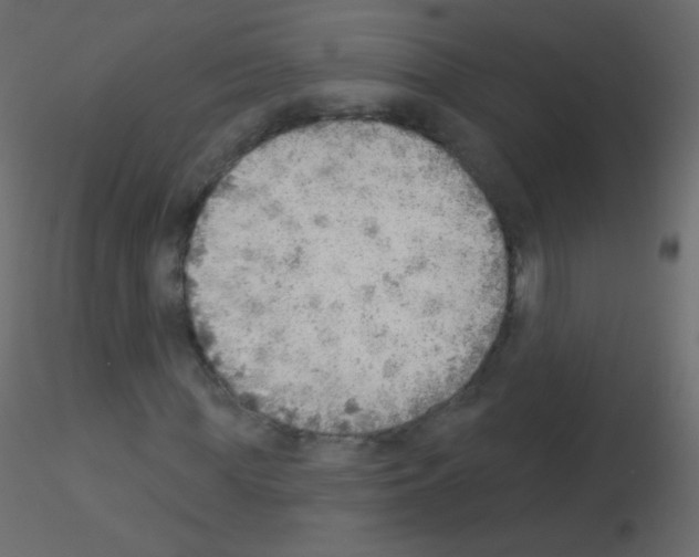 X0000115850819200912242036
