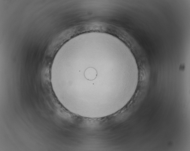 X0000115850820200912242036