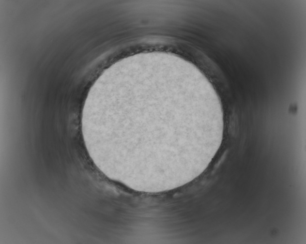 X0000115850821200912242036