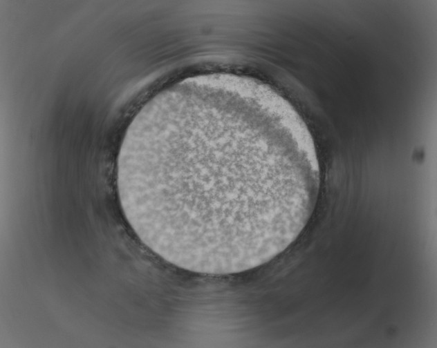 X0000115850822200912242036