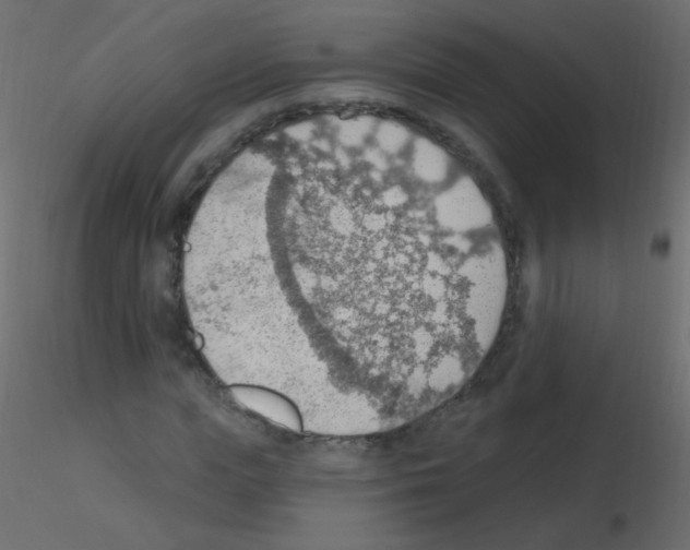 X0000115850823200912242036