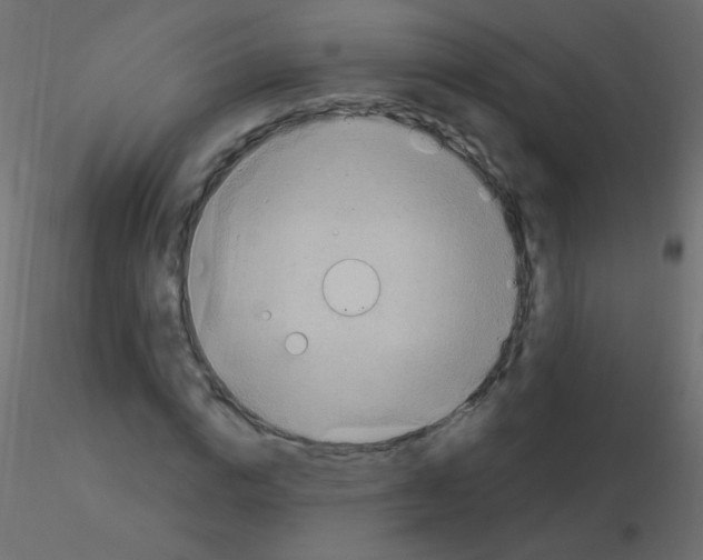 X0000115850824200912242036