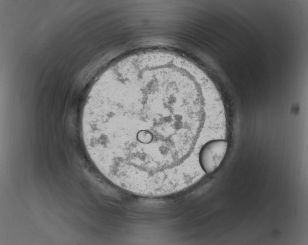 X0000115850825200912242036