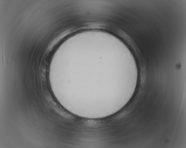 X0000115850827200912242036