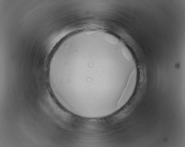 X0000115850828200912242036