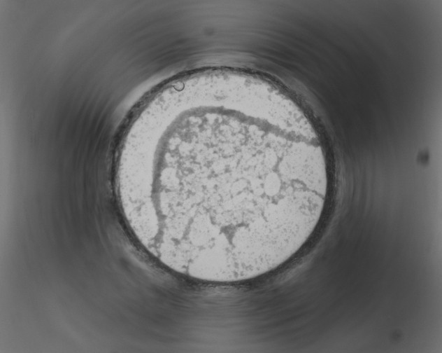 X0000115850830200912242036