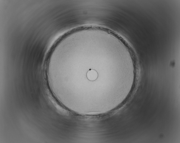X0000115850832200912242036