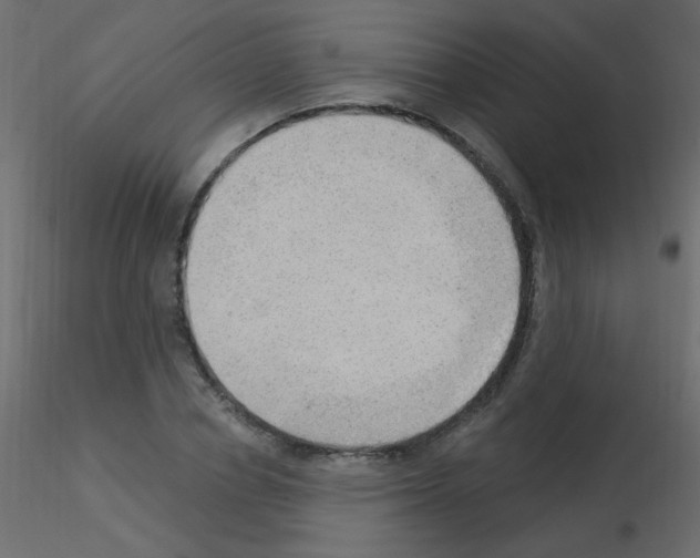 X0000115850834200912242036