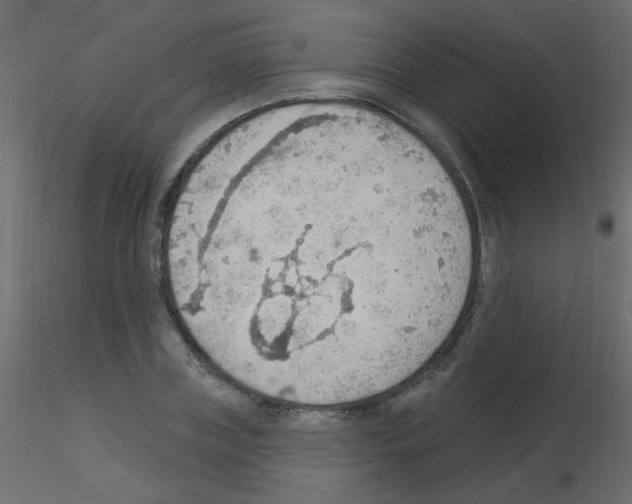X0000115850835200912242036