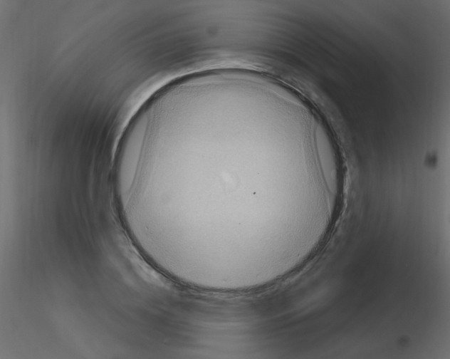 X0000115850836200912242036
