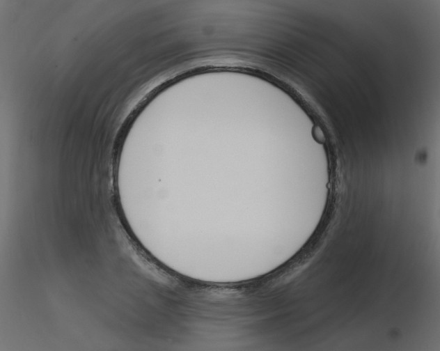 X0000115850837200912242036