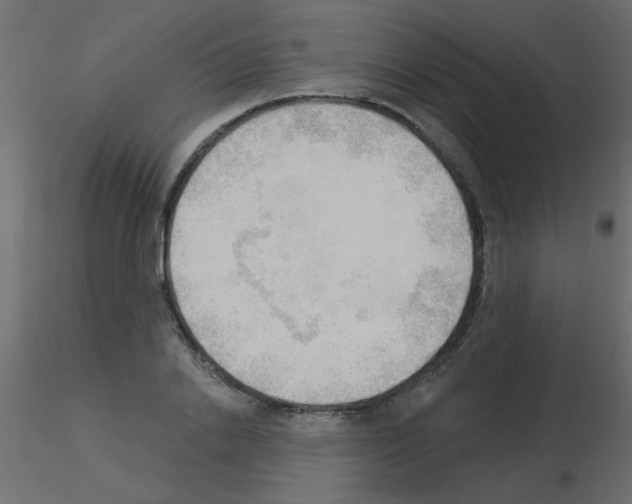 X0000115850838200912242036