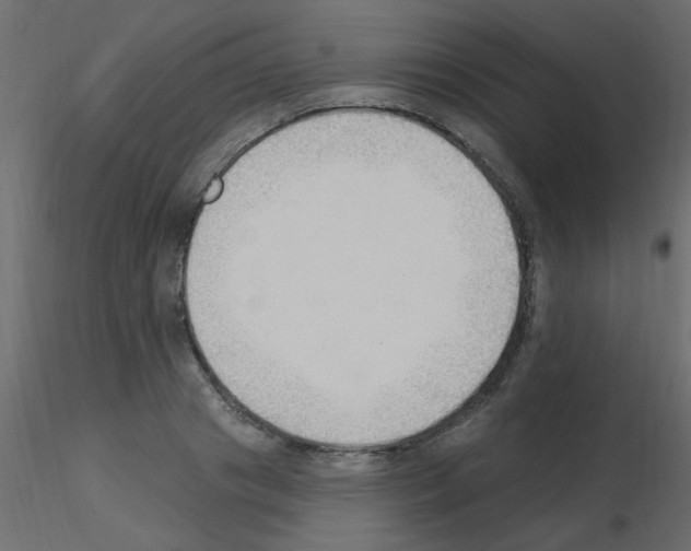 X0000115850841200912242036