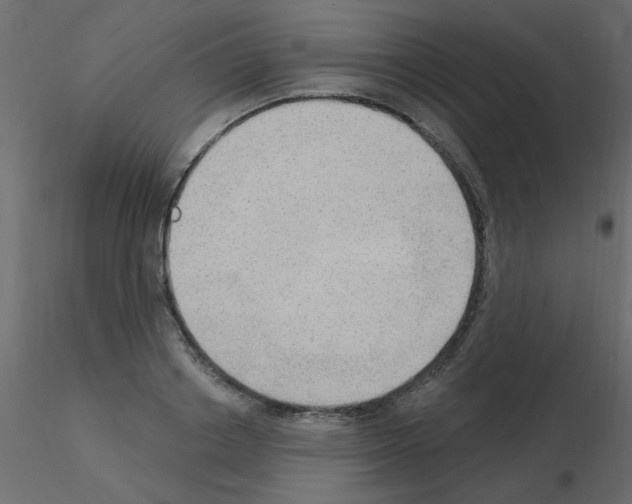 X0000115850842200912242036