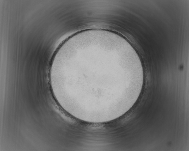 X0000115850846200912242036