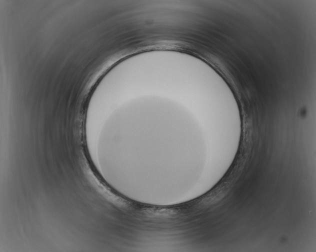 X0000115850851200912242036