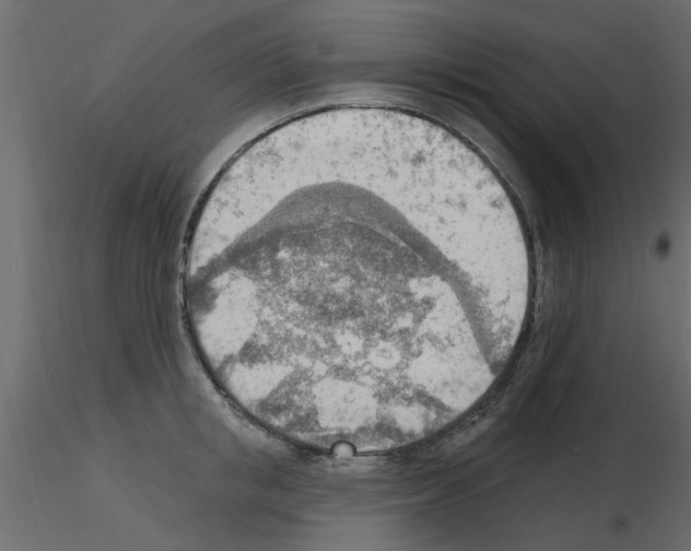 X0000115850853200912242036