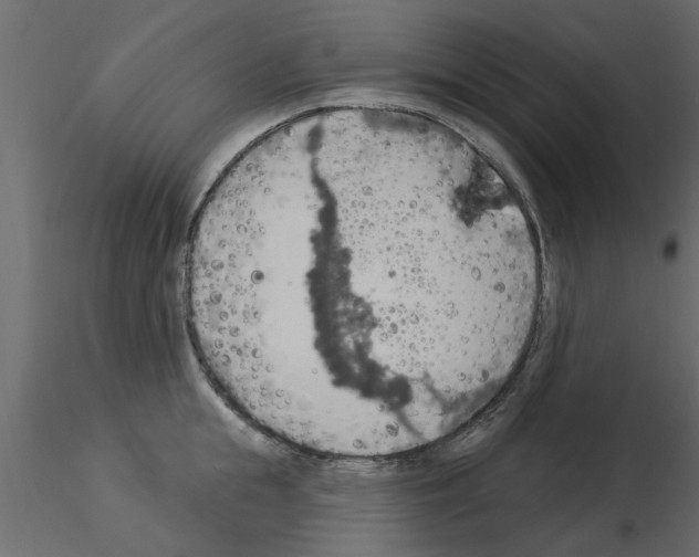 X0000115850855200912242036