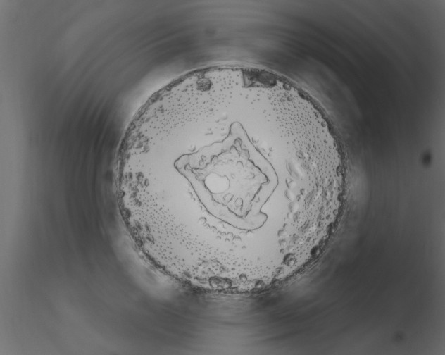 X0000115850856200912242036