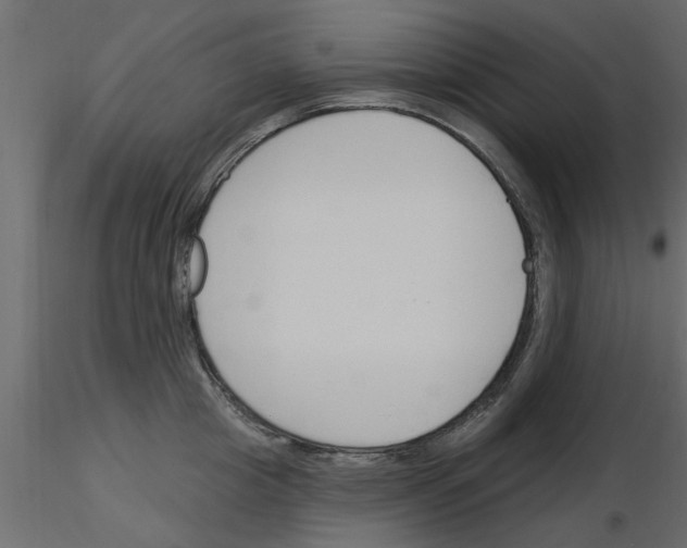 X0000115850857200912242036