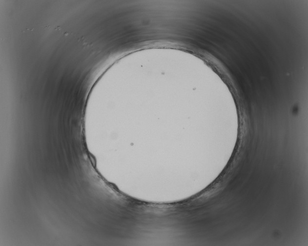 X0000115850860200912242036
