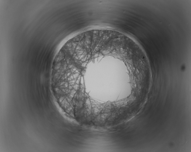 X0000115850861200912242036