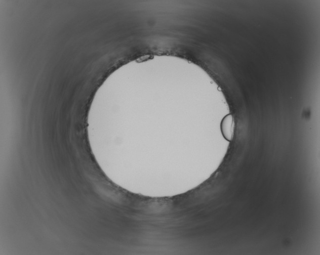 X0000115850865200912242036