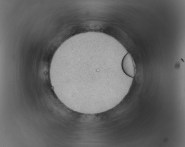 X0000115850866200912242035