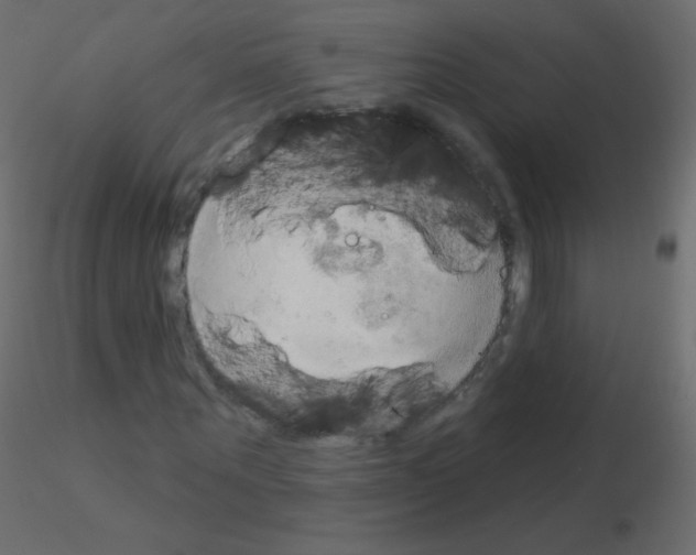 X0000115850867200912242035