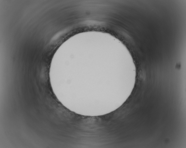 X0000115850869200912242035