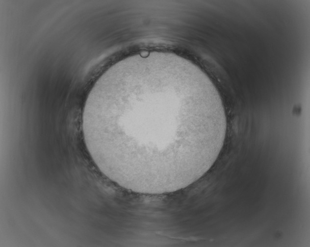 X0000115850870200912242035