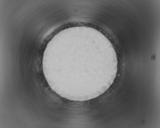 X0000115850871200912242035