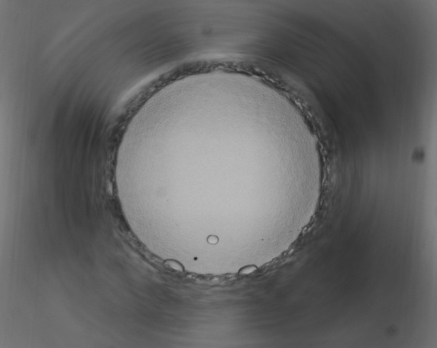 X0000115850872200912242035