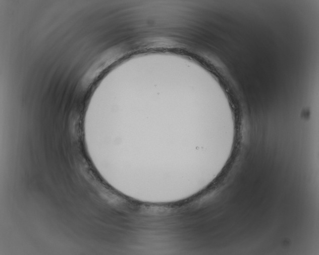 X0000115850873200912242035