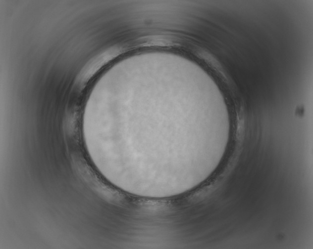X0000115850874200912242035