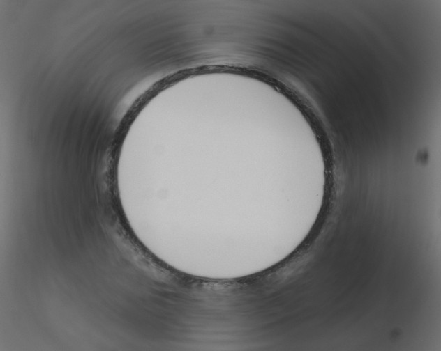 X0000115850875200912242035