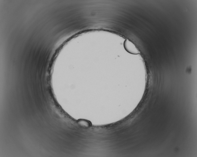 X0000115850876200912242035