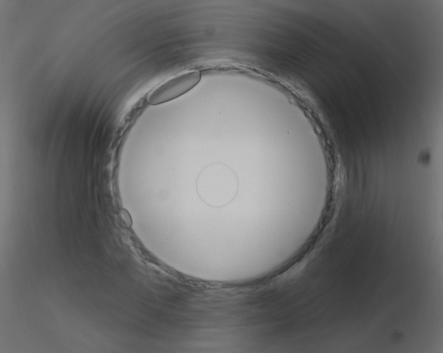 X0000115850877200912242035