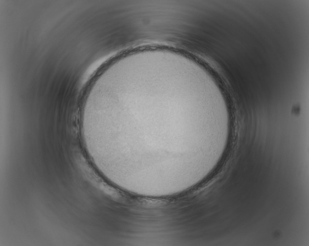 X0000115850878200912242035