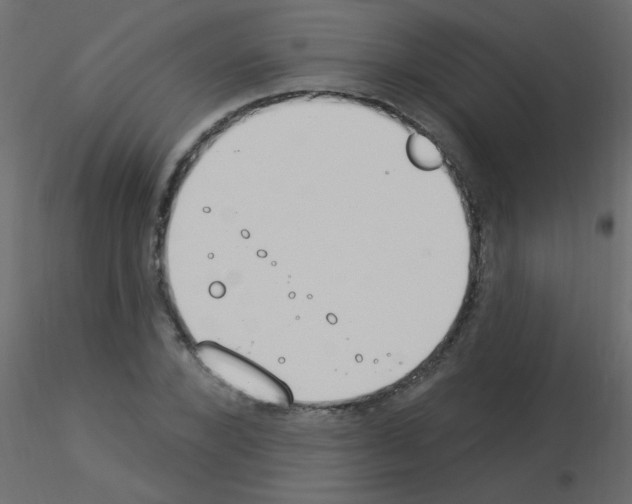 X0000115850880200912242035