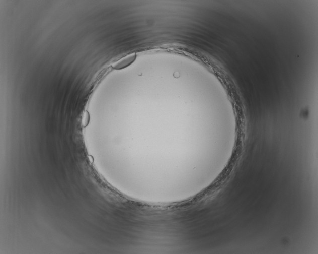 X0000115850881200912242035