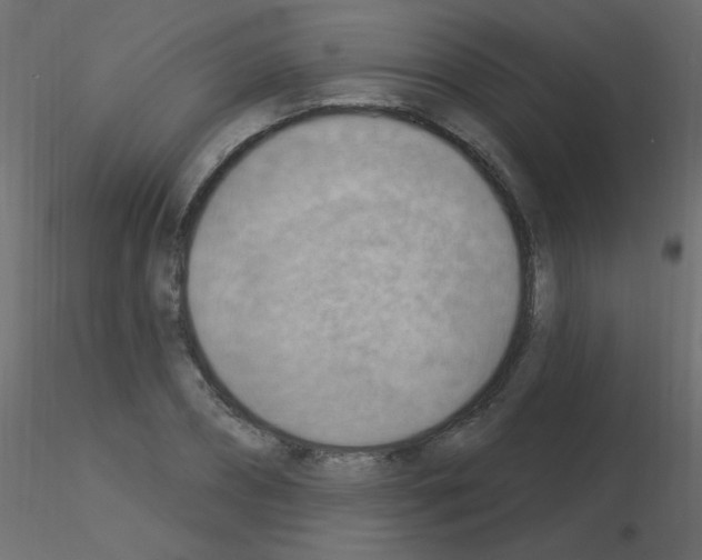 X0000115850882200912242035